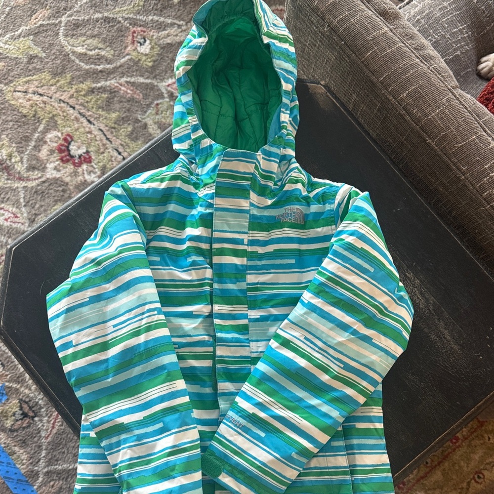 The North Face Teal and White Striped Jacket